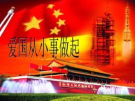 白萝卜怎样做才好吃呢！煮.炒，还是凉拌呢？游戏画面